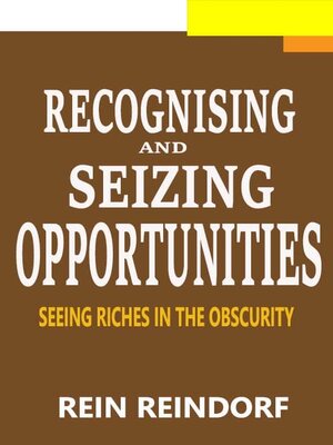 cover image of Recognizing and seizing opportunities
